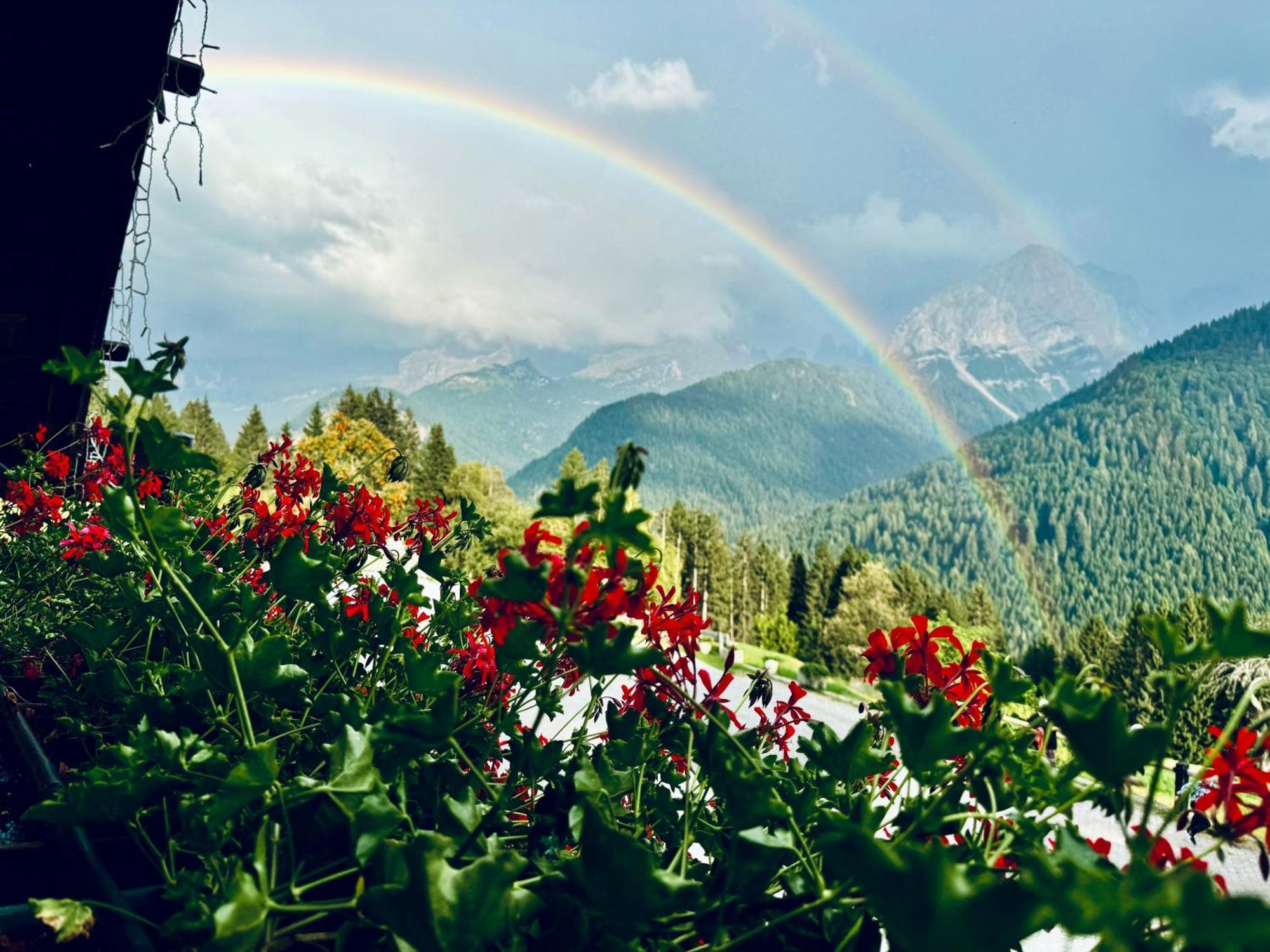 Albergo Ristorante Al Frate Da Streza Madonna di Campiglio Exterior photo